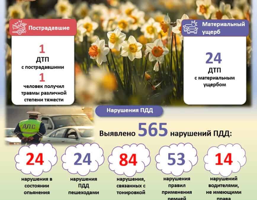 Фото: ГАИ Мордовии