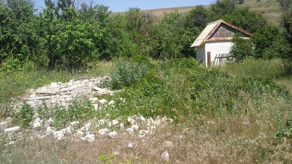 Фото: wikimedia.org/olegbel/CC BY 4.0