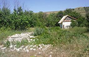 Фото: wikimedia.org/olegbel/CC BY 4.0