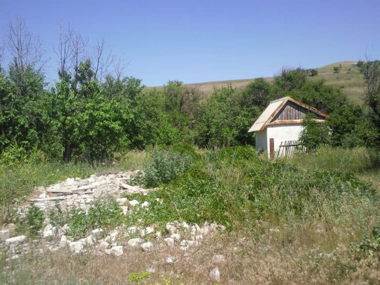 Фото: wikimedia.org/olegbel/CC BY 4.0