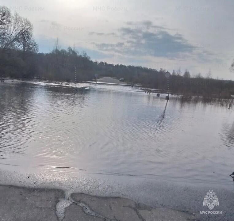 Фото: МЧС РМ