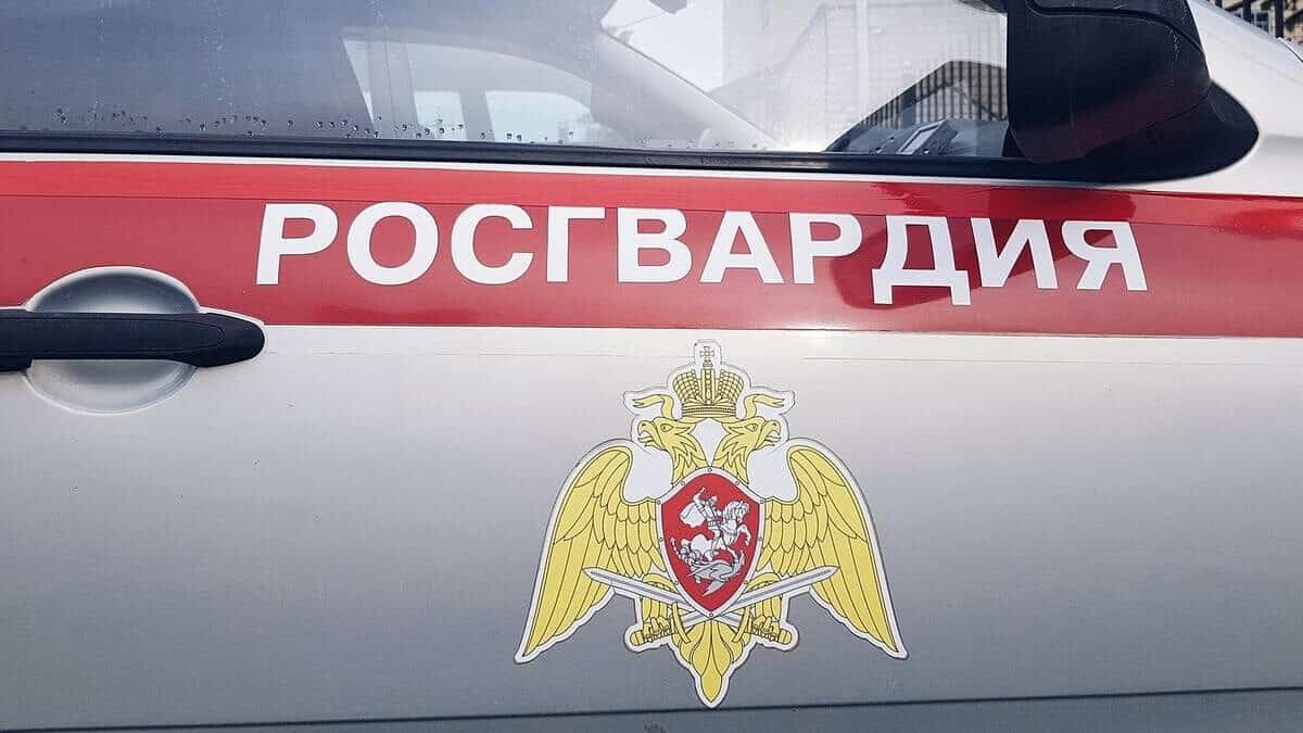 Фото: 13.rosguard.gov.ru