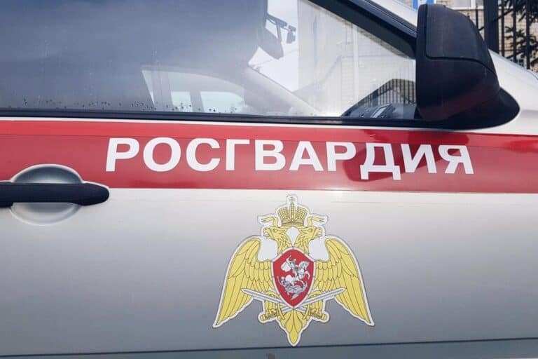 Фото: 13.rosguard.gov.ru