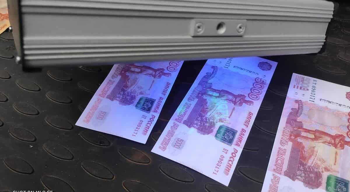 Фото: Управления ФСБ России по Республике Мордовия