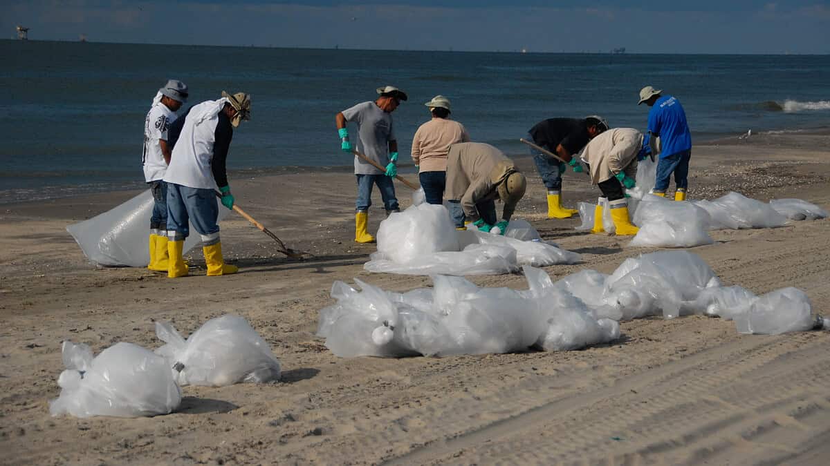 Фото: wikimedia/National Institute for Occupational Safety and Health (NIOSH) from USA/Public domain