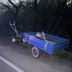 Фото: Пресс-служба МВД по РМ