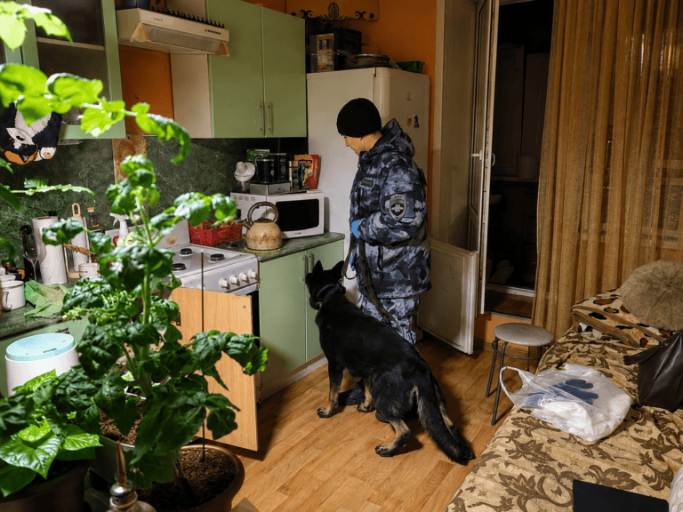 Фото: МВД по Республике Мордовия