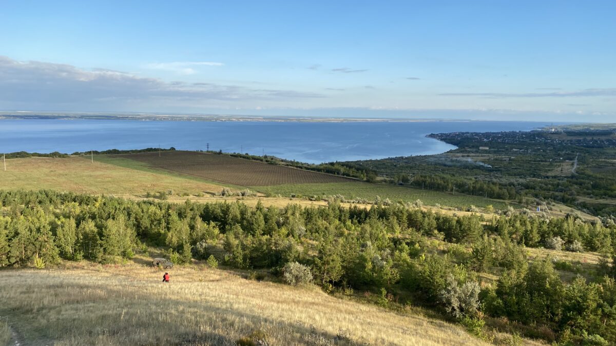 Фото: wikimedia/Iksanov Ildus Myasutovich ( Иксанов Илдус Мясутович)/CC BY-SA 4.0