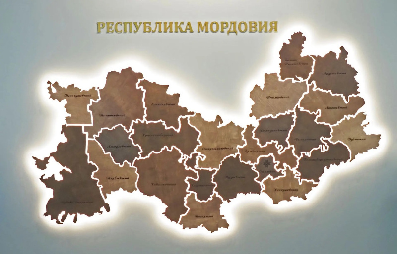 Фото пресс-службы Главы Республики Мордовия