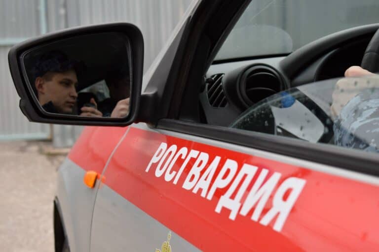 Фото: 13.rosguard.gov.ru