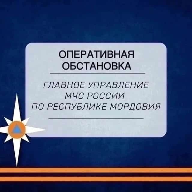 Фото: МЧС Мордовии