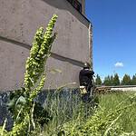 Фото: пресс-служба УФСБ России по РМ