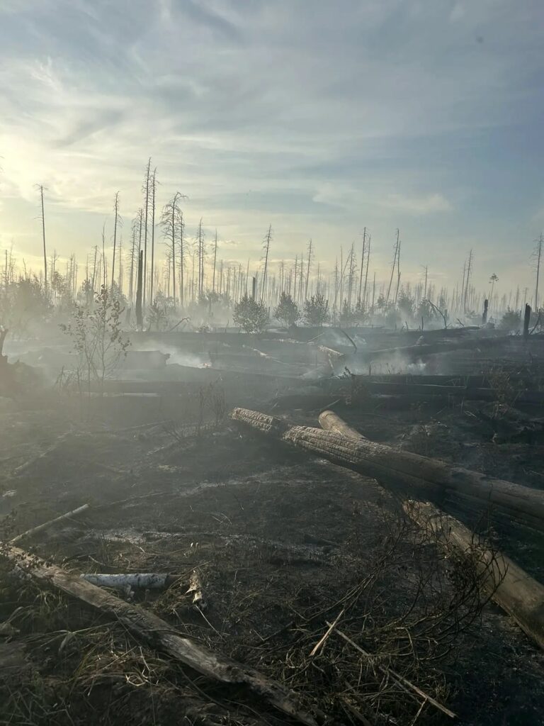 Фото: Министерство ПРМ Республики Мордовия
