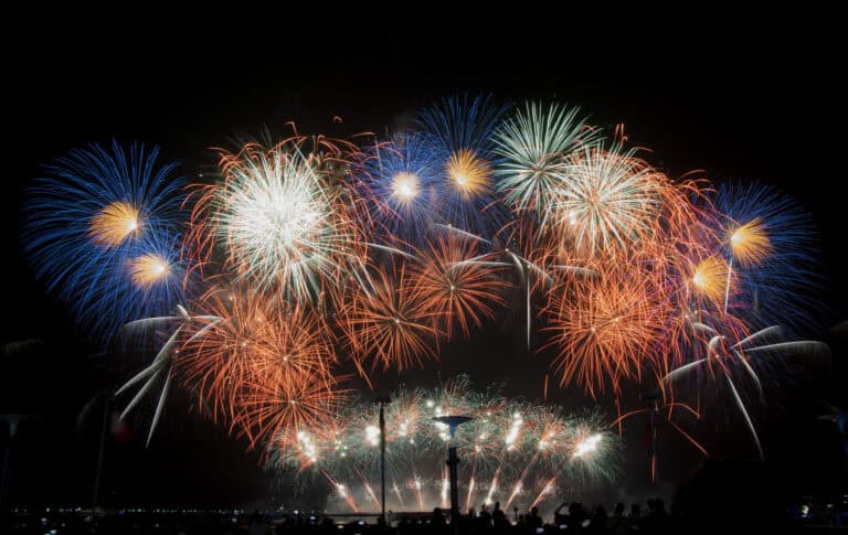 Фото: wikimedia/Vernon Raineil Cenzon thevernon/CC0