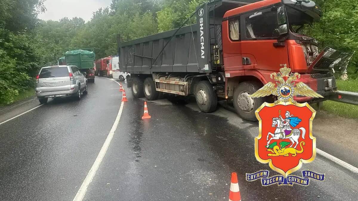 Фото: телеграмм-канал Подмосковная полиция