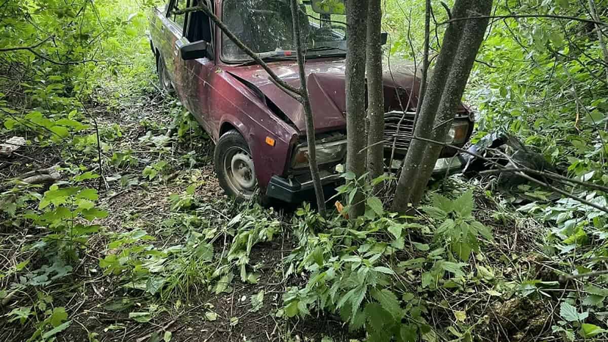 Фото: МВД по Республике Мордовия