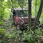 Фото: МВД по Республике Мордовия