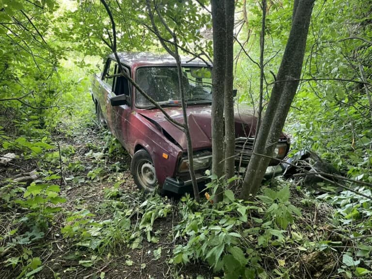 Фото: МВД по Республике Мордовия
