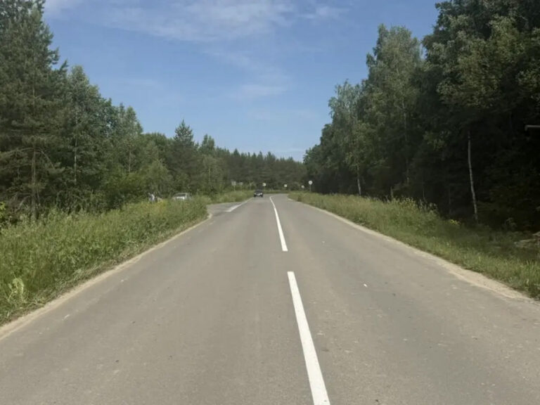 Фото: МВД по Республике Мордовия