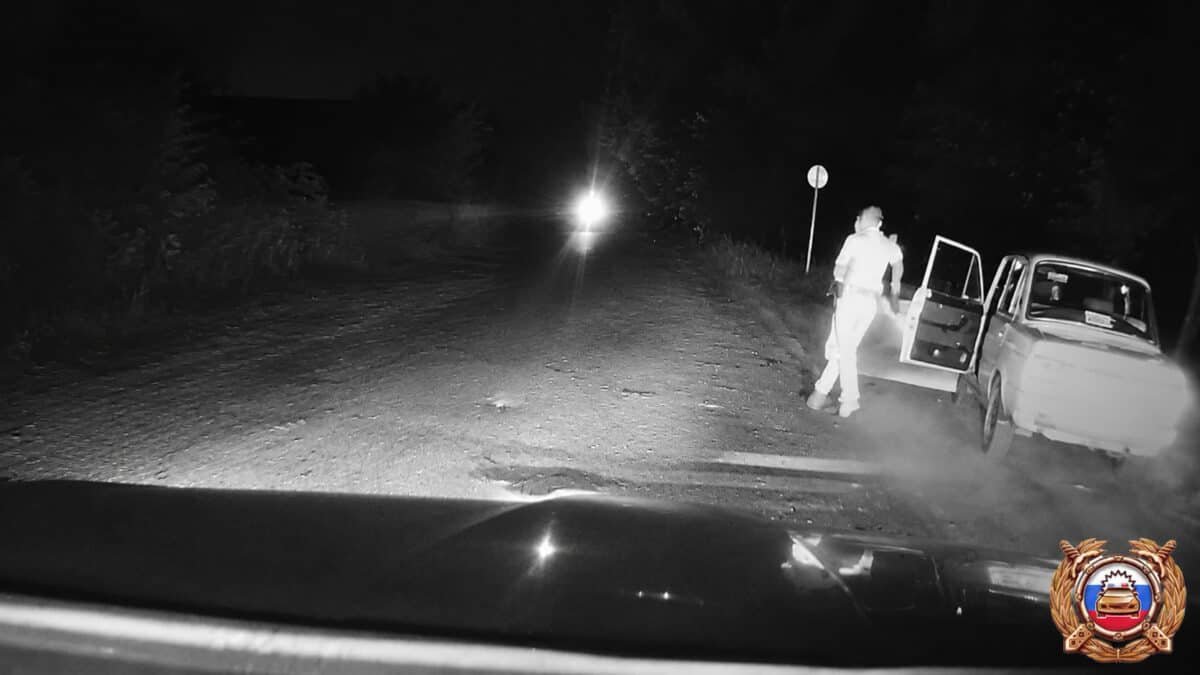 Фото: скриншот с видео Госавтоинспекции Республики Мордовия