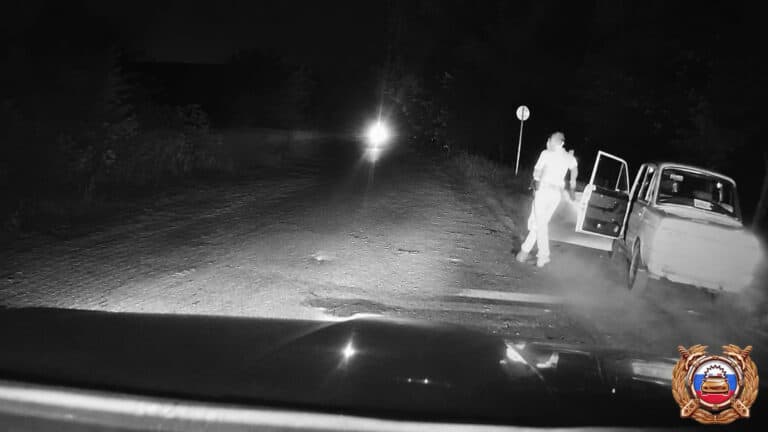 Фото: скриншот с видео Госавтоинспекции Республики Мордовия