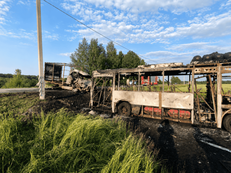 Фото: МВД по Республике Мордовия