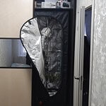 Фото: МВД по Республике Мордовия