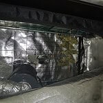 Фото: МВД по Республике Мордовия
