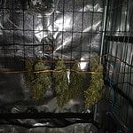 Фото: МВД по Республике Мордовия