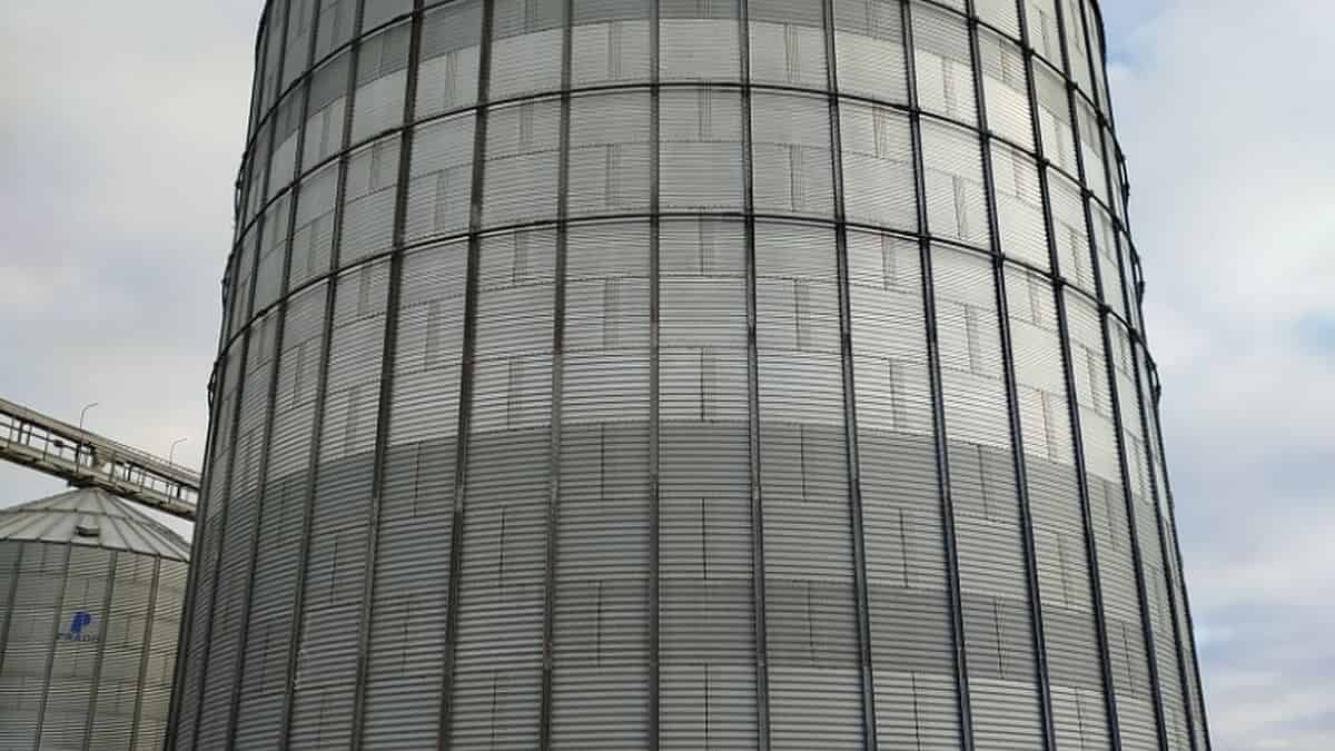 Фото: МВД по Республике Мордовия