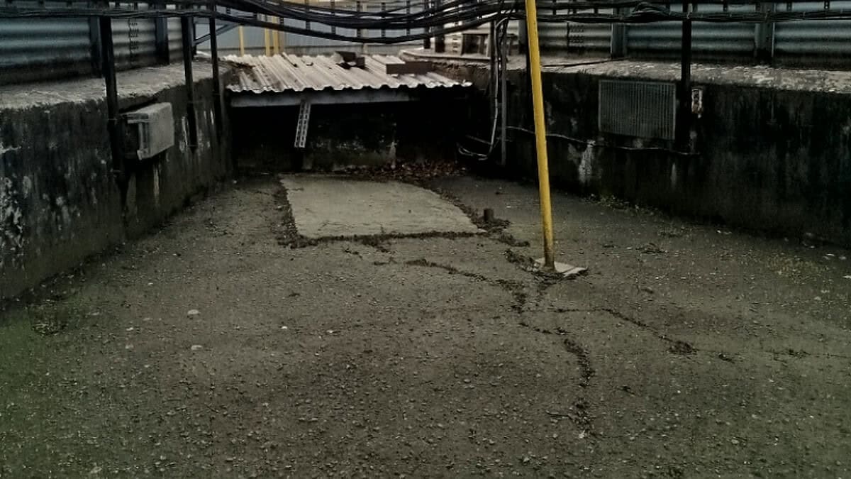 Фото: МВД по Республике Мордовия