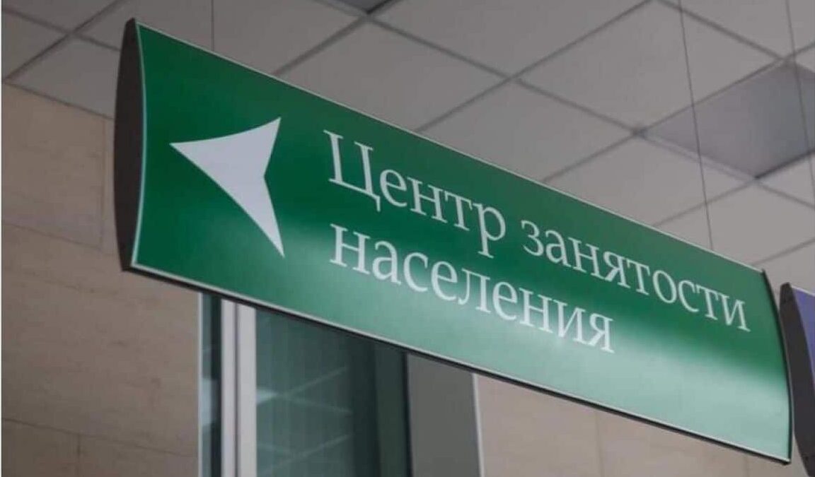Фото: Комитет Республики Северная Осетия-Алания по занятости населения