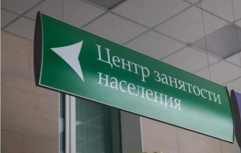 Фото: Комитет Республики Северная Осетия-Алания по занятости населения