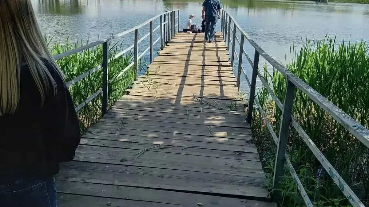 Фото: Канал мах Главы городского округа Саранск Владимира Быкова