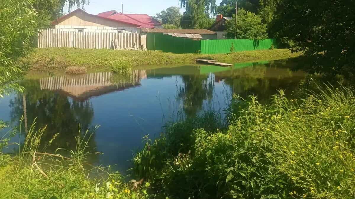 Фото: СУ СК России по Республике Мордовия