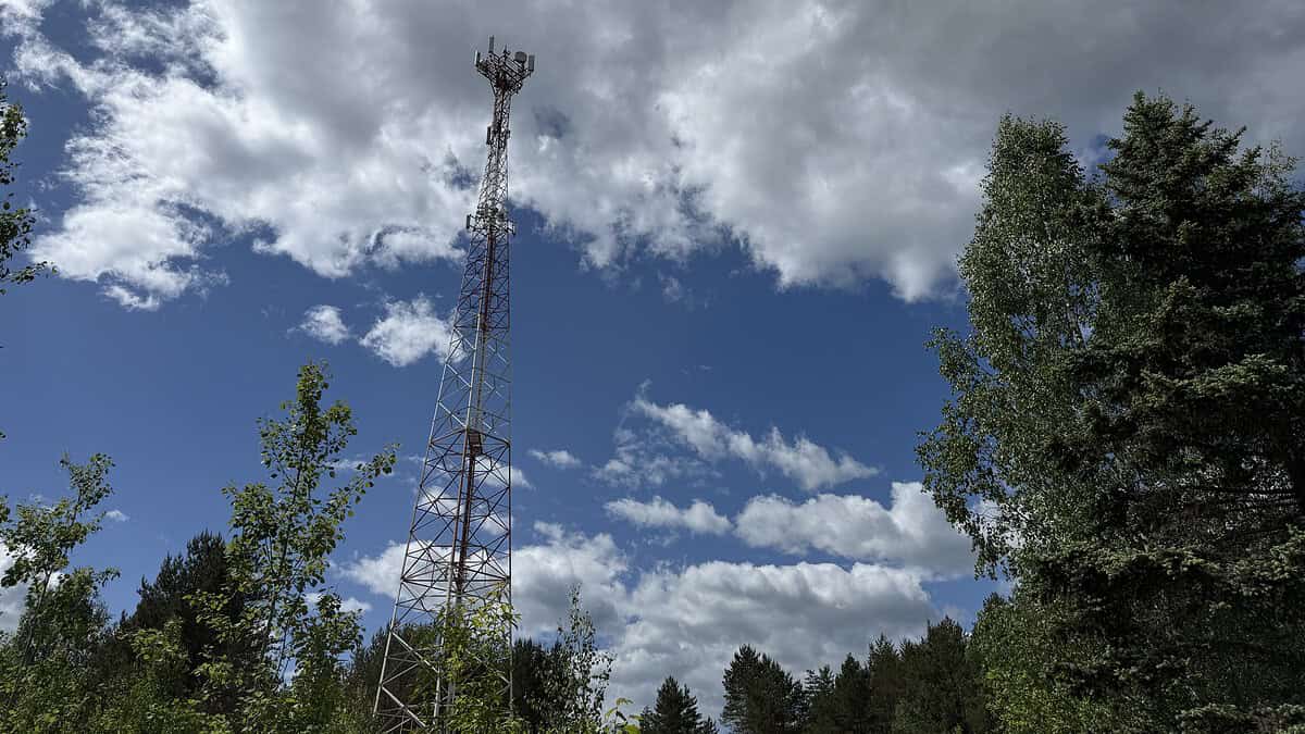 Фото: пресс-служба МТС