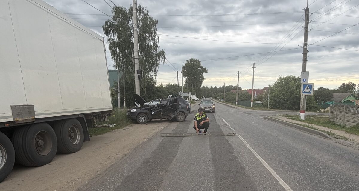 Фото: Госавтоинспекция Республики Мордовия