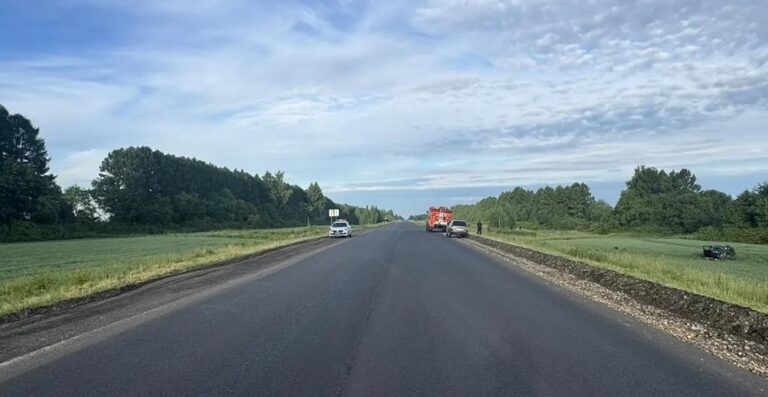 Фото: Госавтоинспекция Республики Мордовия