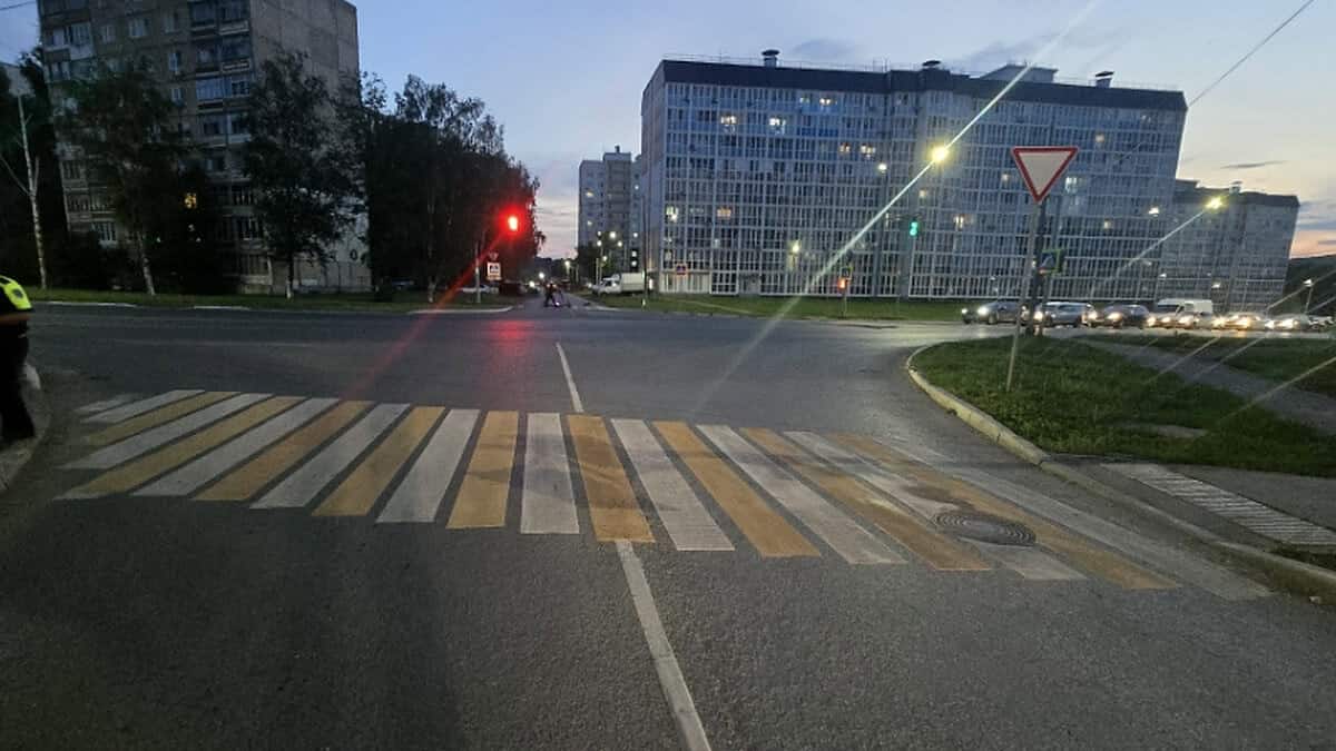Фото: МВД по Республике Мордовия