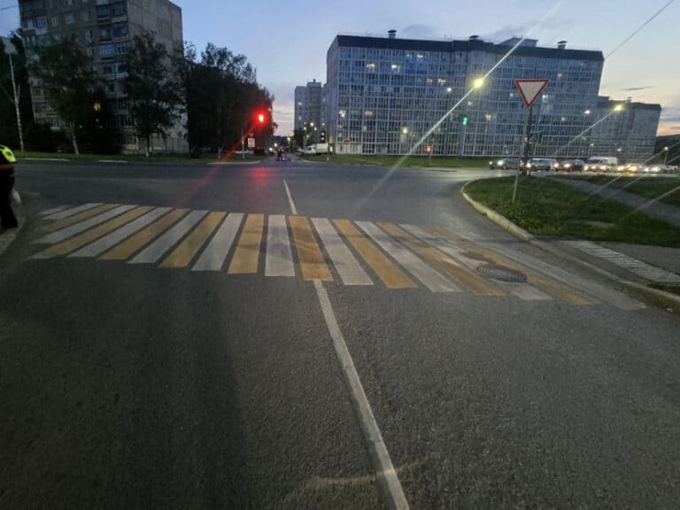Фото: МВД по Республике Мордовия