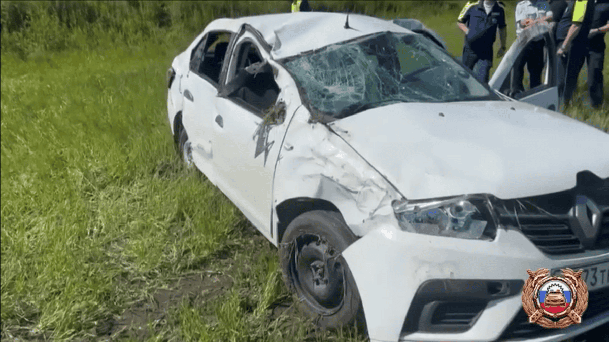 Фото: Скриншот с видео