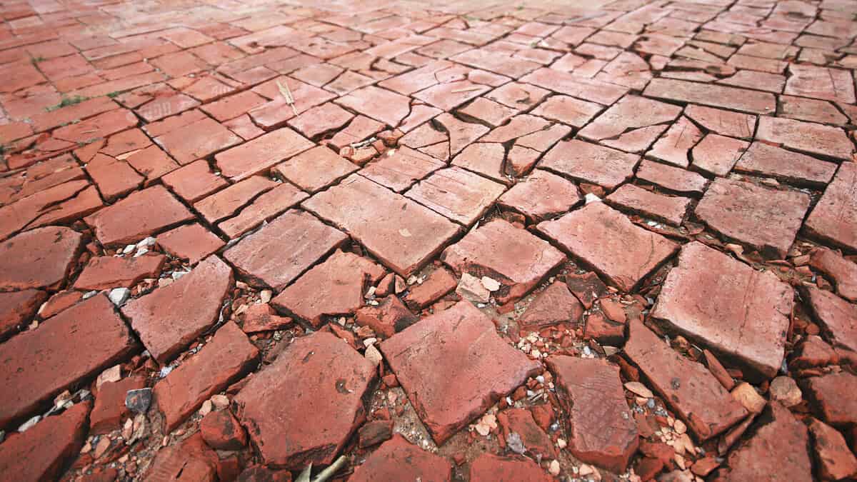 Фото: rawpixel на Magnific