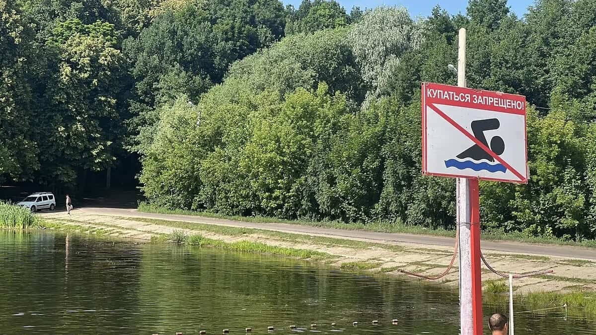 Фото: Администрация городского округа Саранск