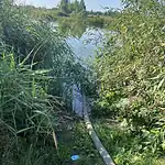 Фото: официальный канал MAX МВД по Республике Мордовия