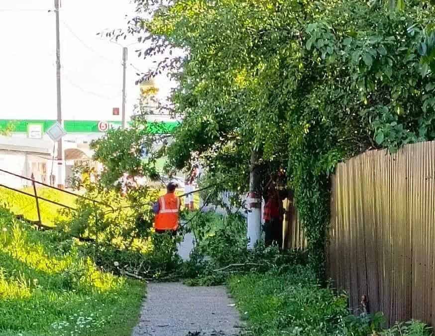 Фото: Администрация Рузаевского района