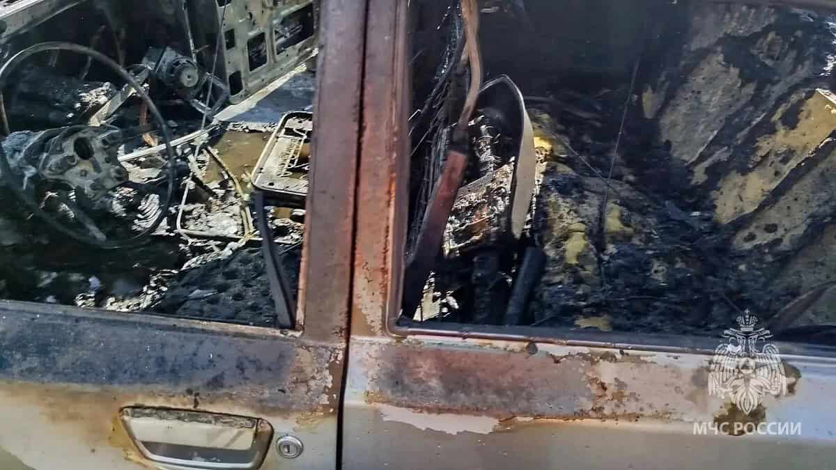 Фото: ГУ МЧС России по РМ