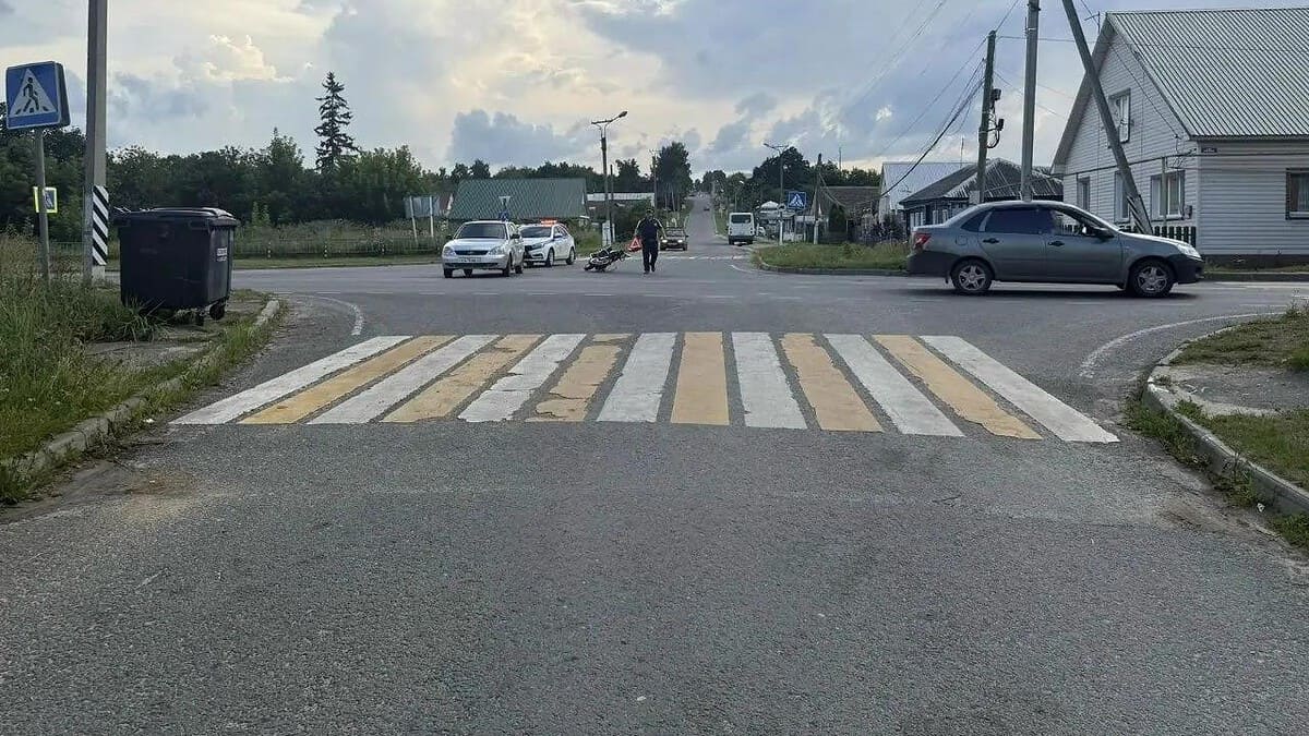 Фото: Госавтоинспекция Республики Мордовия
