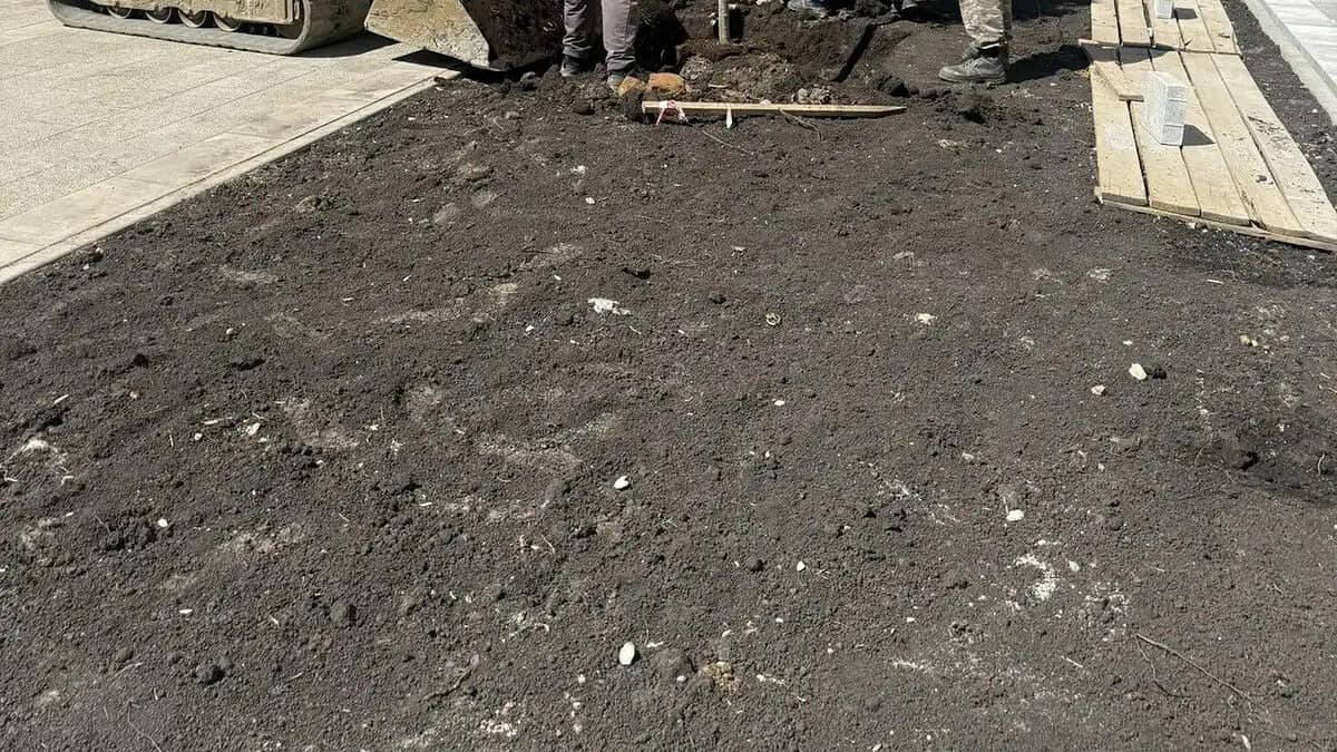 Фото: Администрация городского округа Саранск