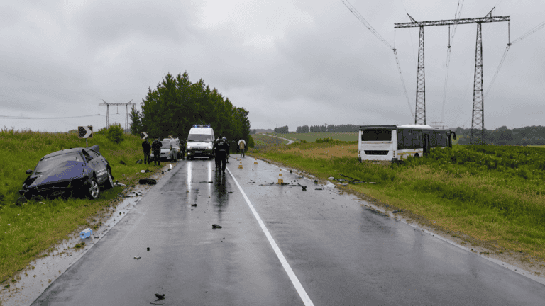 Фото: Подмосковная полиция