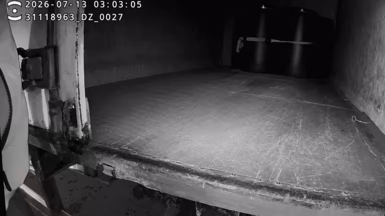 Фото: скриншот с видео МВД по Республике Мордовия